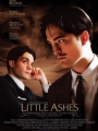 Little Ashes 2008