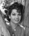 Download all the movies with a Annette Funicello