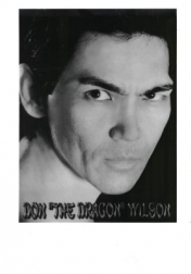 Download all the movies with a Don 'The Dragon' Wilson