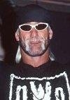 Download all the movies with a Hulk Hogan