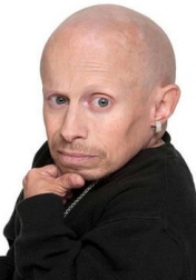 Download all the movies with a Verne Troyer